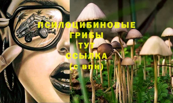 стафф Нягань