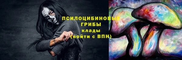 a pvp Щучье