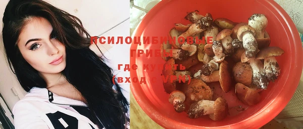 MDMA Няндома